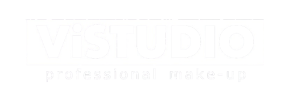 vistudio_logo_image